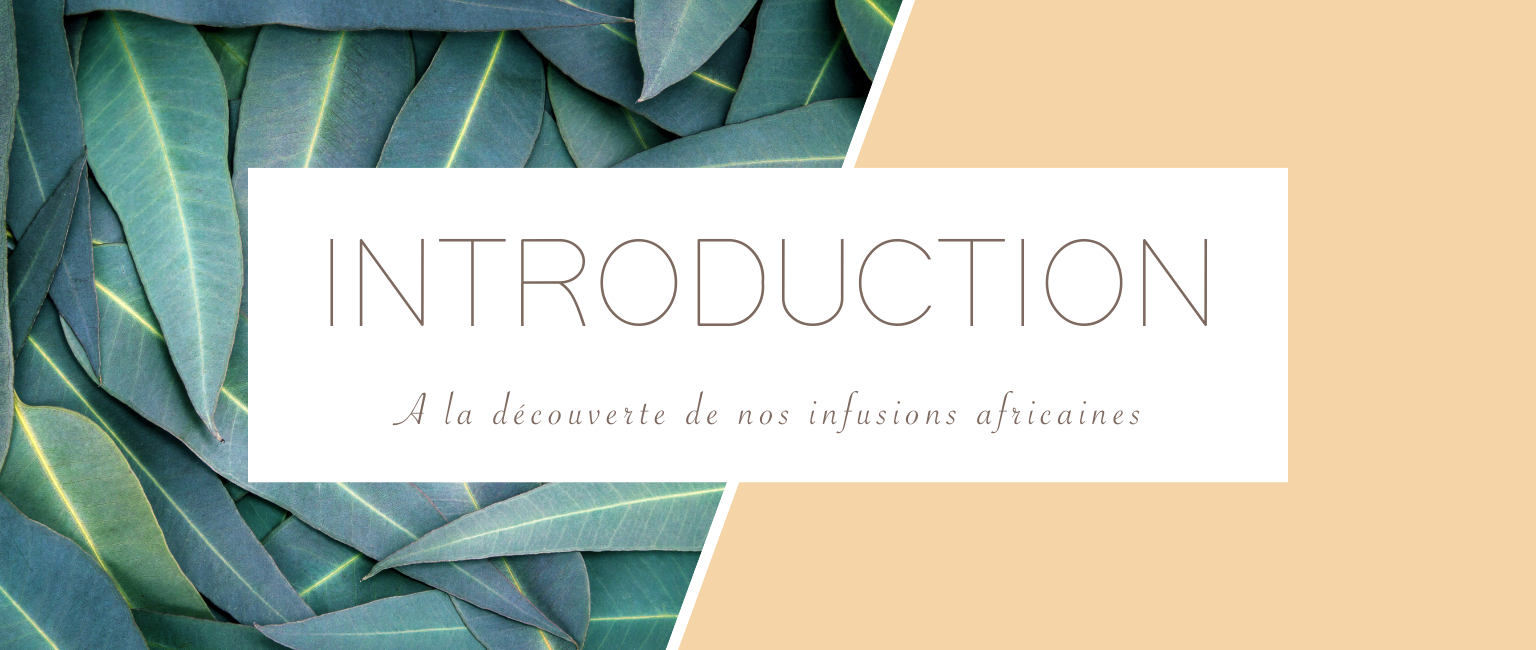 infusions naturelles africaines